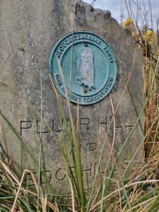 Plump Hill Pool