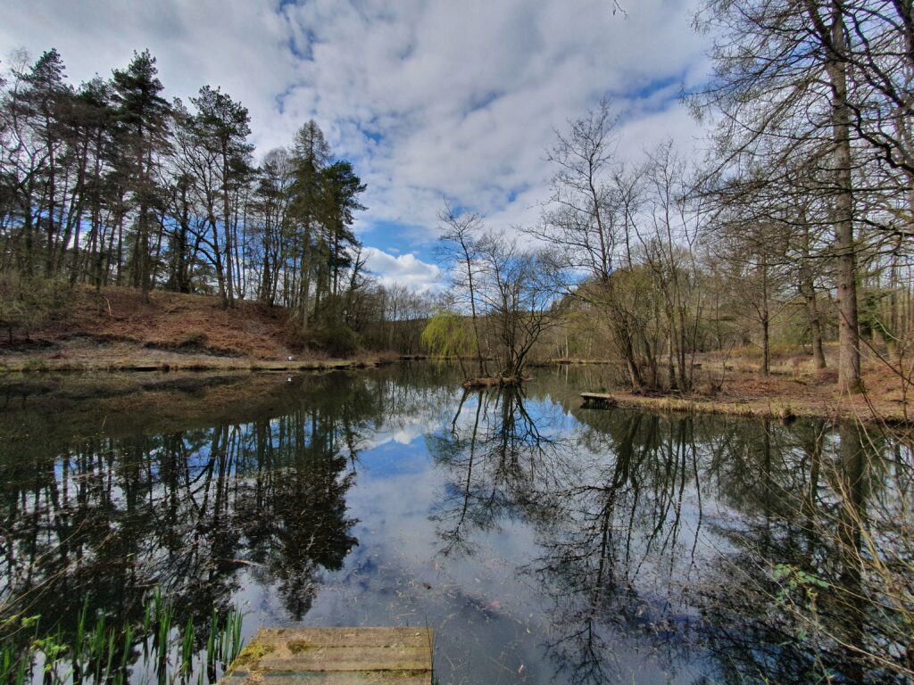 Meadowcliff Lake - RFODAC