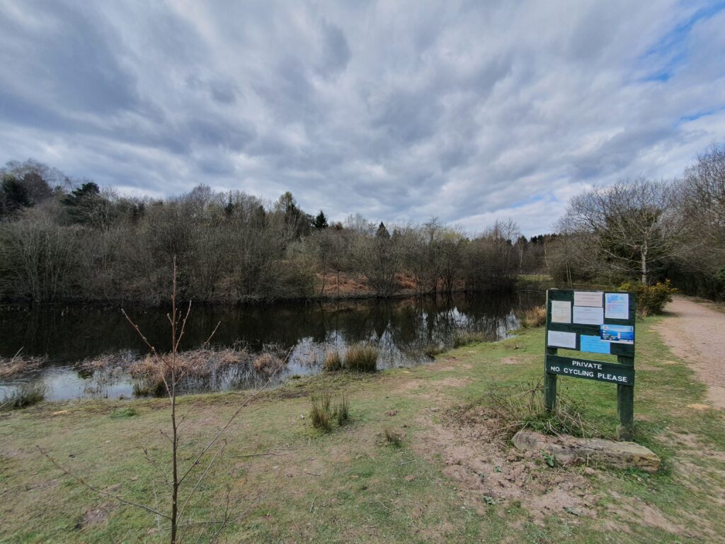 Lightmoor Pool RFODAC Royal Forest of Dean Angling Club